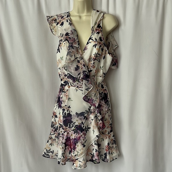 Yumi Kim NWT Romantic Napa Valley Sheer Bliss Sleeveless Dress **Size M** 🌸🌸 - Picture 2 of 6